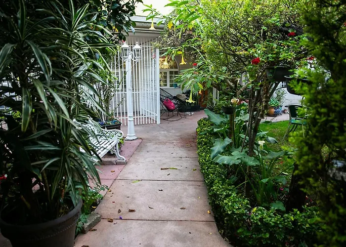 Casa San Pedro Bed and breakfast *